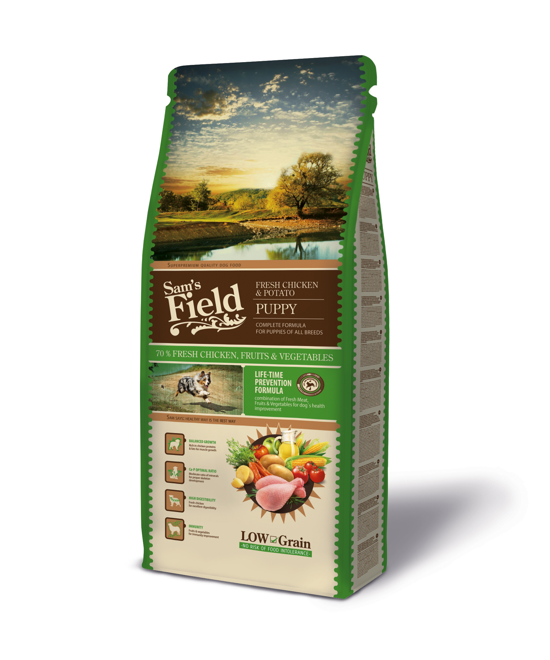 Sam's  Field Puppy Chicken &  Potato koeratoit 2,5 kg