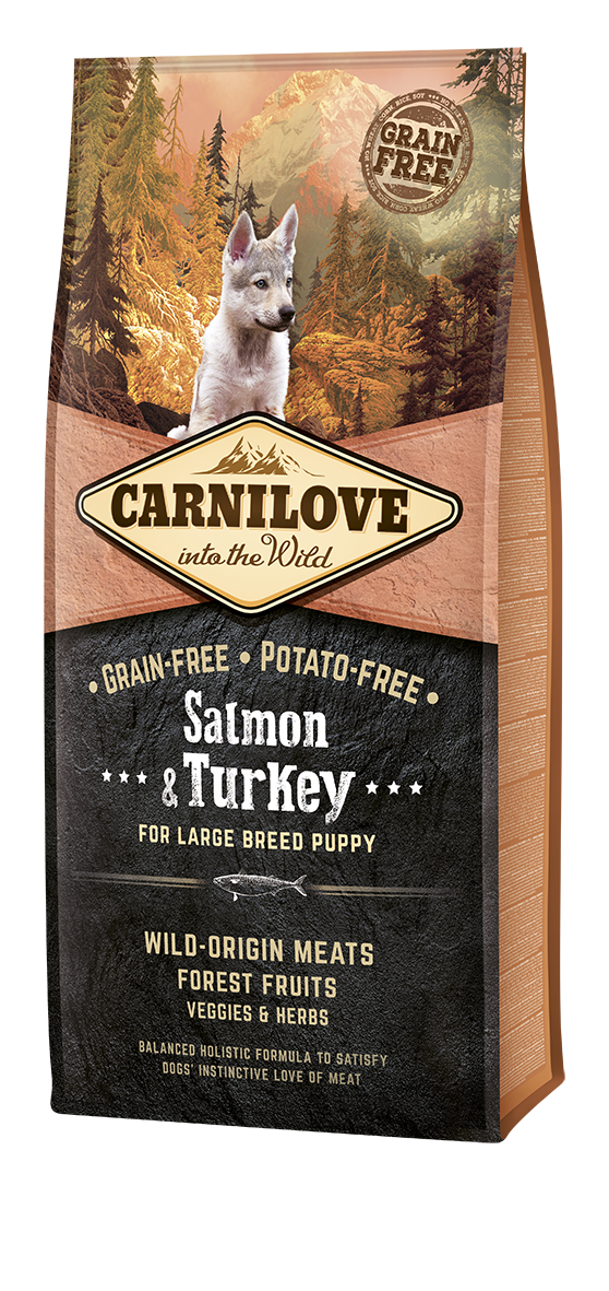 CarniLove Salmon &  Turkey for Large Breed Puppies koeratoit 12 kg