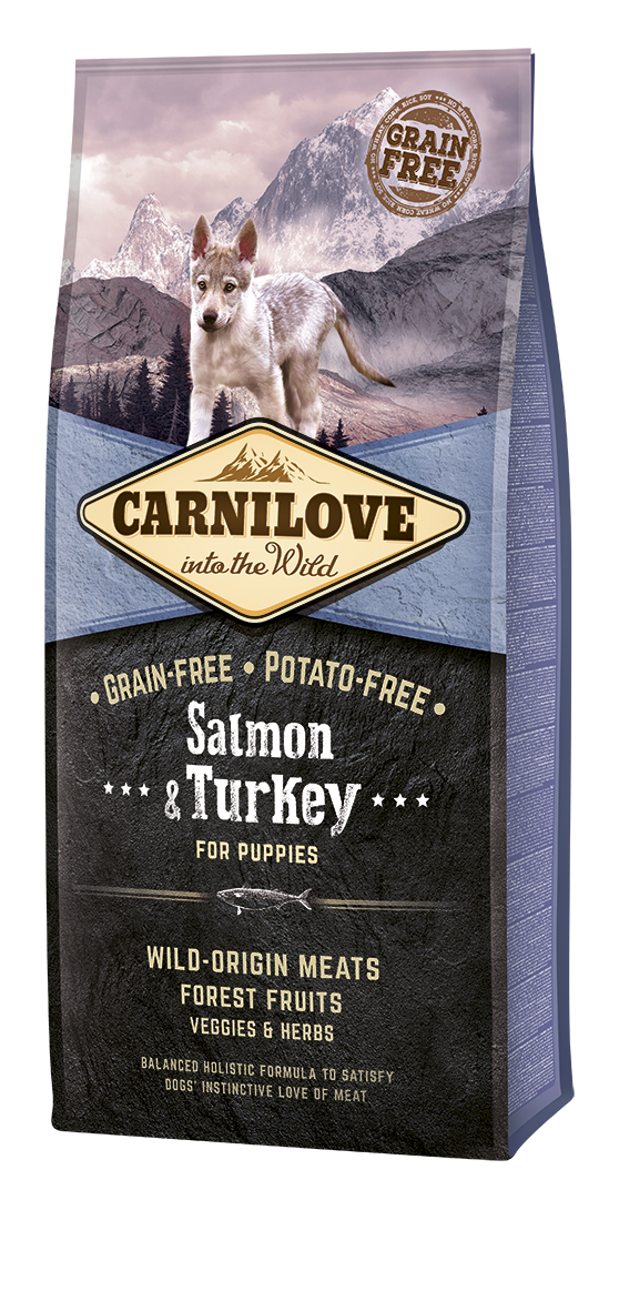 CarniLove Salmon & Turkey for Puppies koeratoit 12 kg