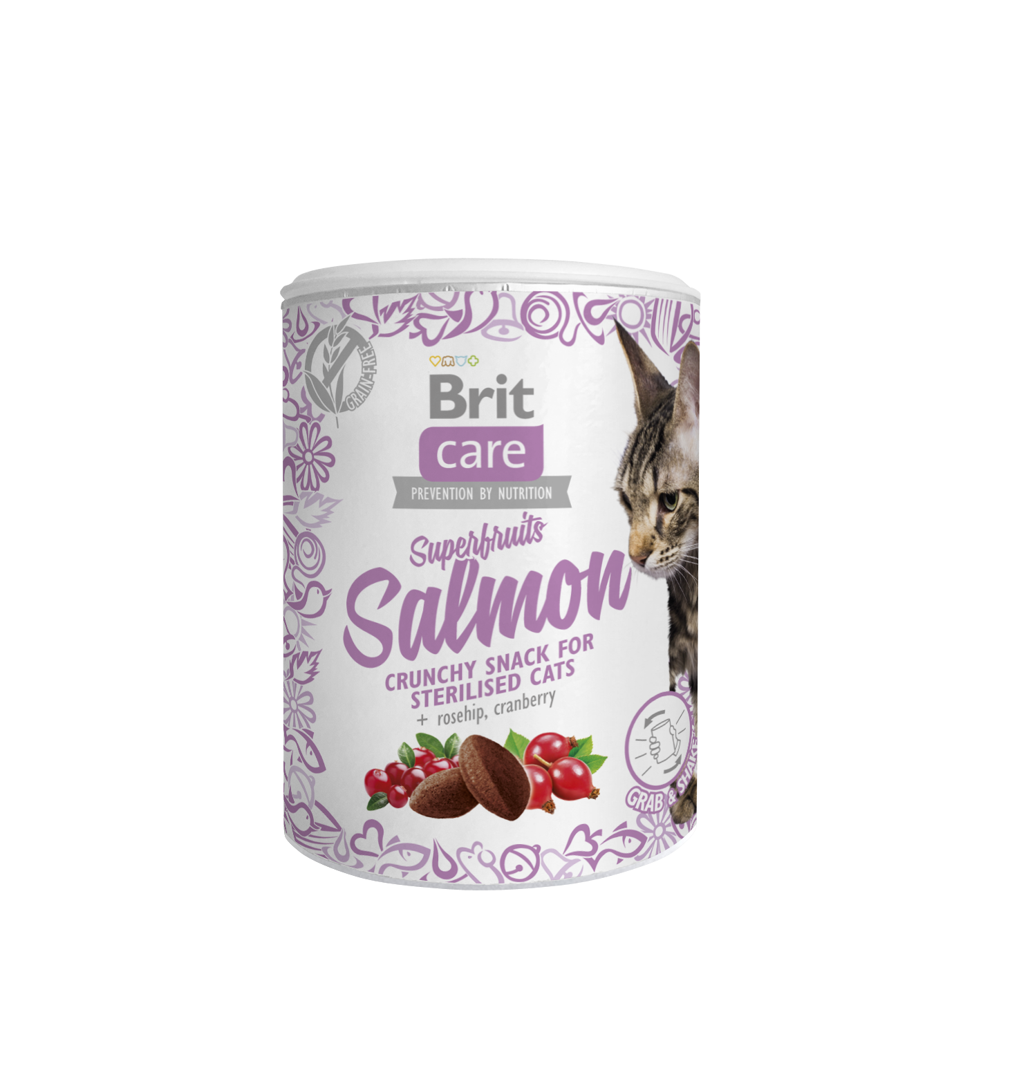 Brit Care Cat Snack SuperFruits Salmon kassimaius lõhega 100g