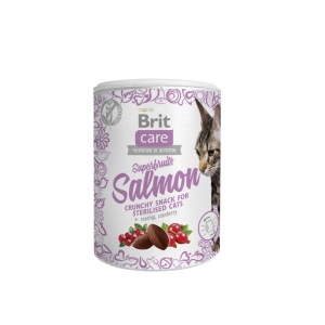 Brit Care Cat Snack SuperFruits Salmon kassimaius lõhega 100g