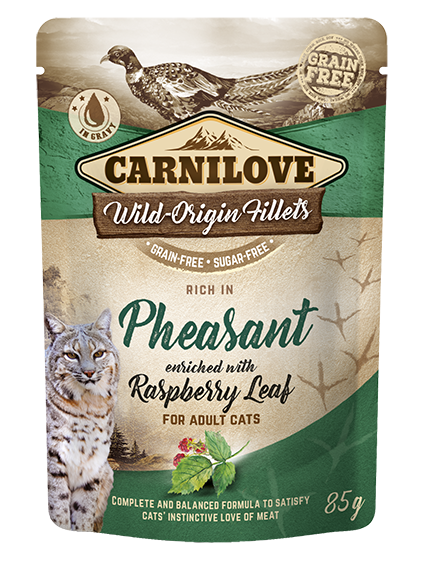 CarniLove Cat Pouch Pheasant with Raspberry Leaves einekotike kassidele 85g