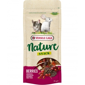 NATURE Snack Berry maius närilistele marjadega 85g