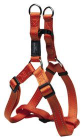 Traksid Step-in Lumberjack XL 25mm/67-103cm orange