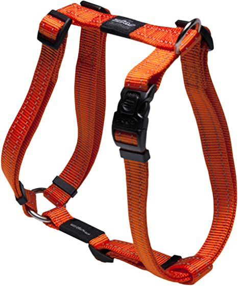 Traksid H Fanbelt L 45-75cm orange