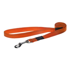 Jalutusrihm Fanbelt 20mm/1,4m orange