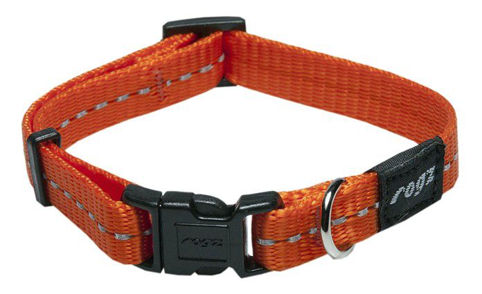 Kaelarihm Nitelife 11mm/20-31cm orange