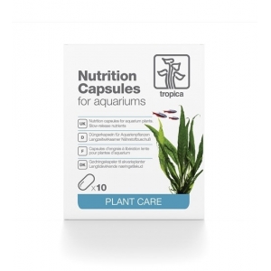 Nutrition Capsules