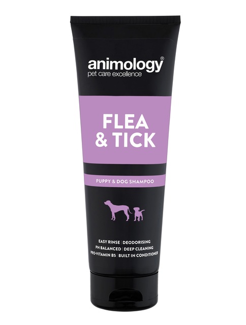 Animology Flea Tick koerašampoon, 250 ml