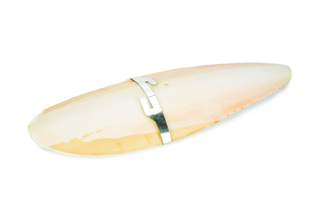 Beeztees Cuttlefish Bone lindude mineraalkivi 20 cm