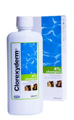 CHLOREXYDERM SHAMPOO 4% 250ML