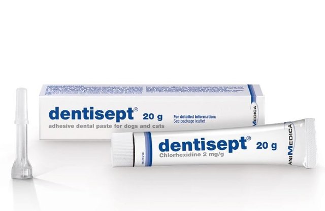 HAMBAPASTA DENTISEPT 20G