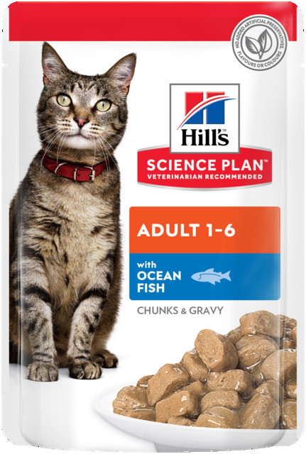 Hill's Science Plan kassi einekotike ookeanikalaga 85g