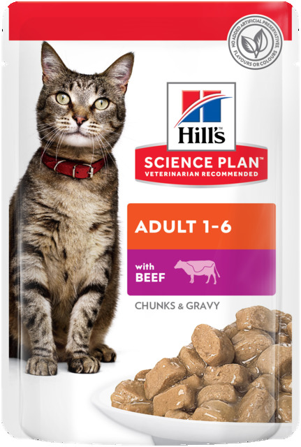 Hill's Science Plan kassi einekotike veiselihaga 85g