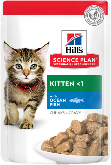 Hill's Science Plan kassipoja einekotike ookeanikalaga 85g 12TK