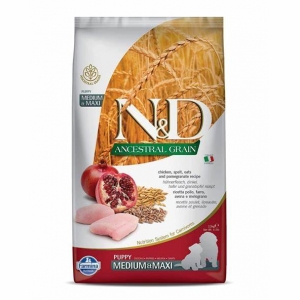 Farmina N&D Ancestral Grain Medium & Maxi Puppy Chicken 2.5kg