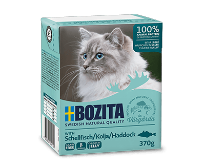 Bozita Cat Haddock in Jelly 6x370g