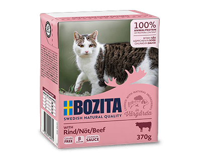 Bozita Cat, Beef Chunks in sauce 6x370g