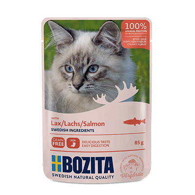 Bozita Cat, Salmon Chunks in Jelly 12x85g