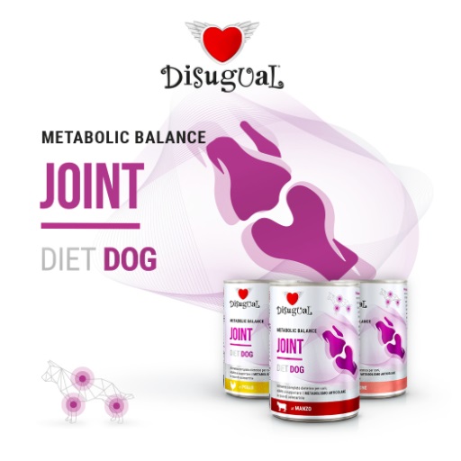 Disugual Diet Dog Joint veisega konserv koertele 400g