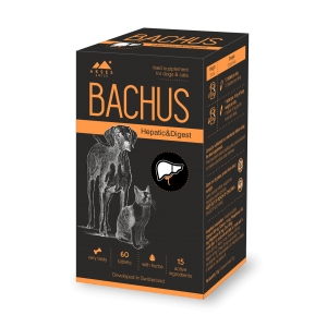 Bachus Hepatic&Digest N60 tab