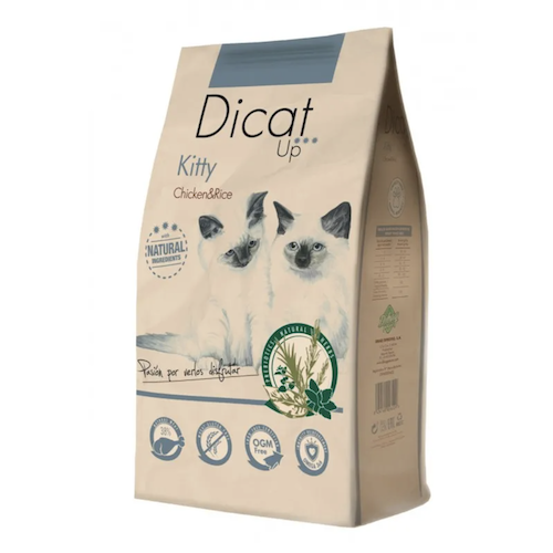 Dicat Up Kitty kana ja riis kassipojatoit 1,5kg