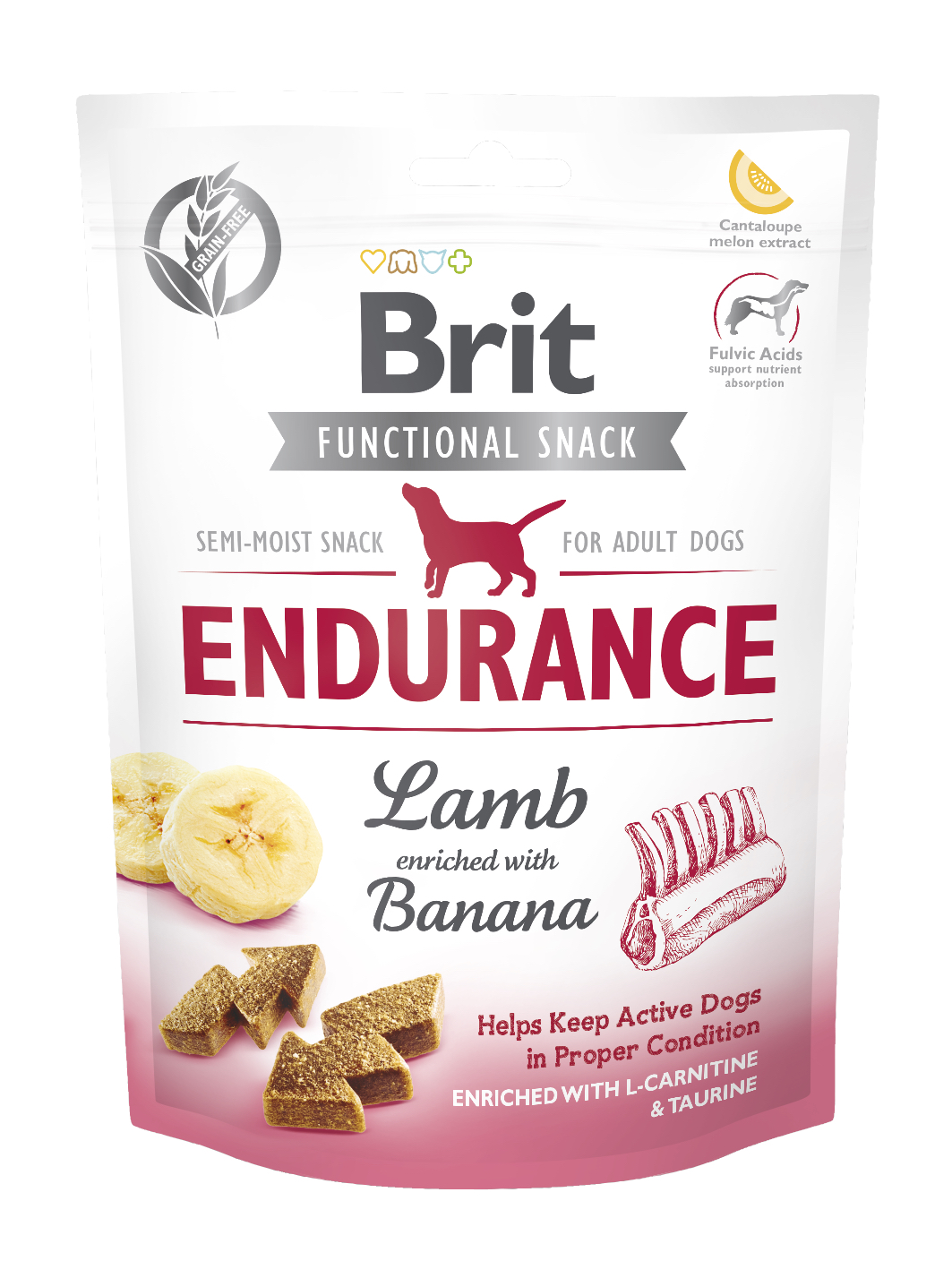 Brit Care Functional Endurance närimismaius koertele 150g