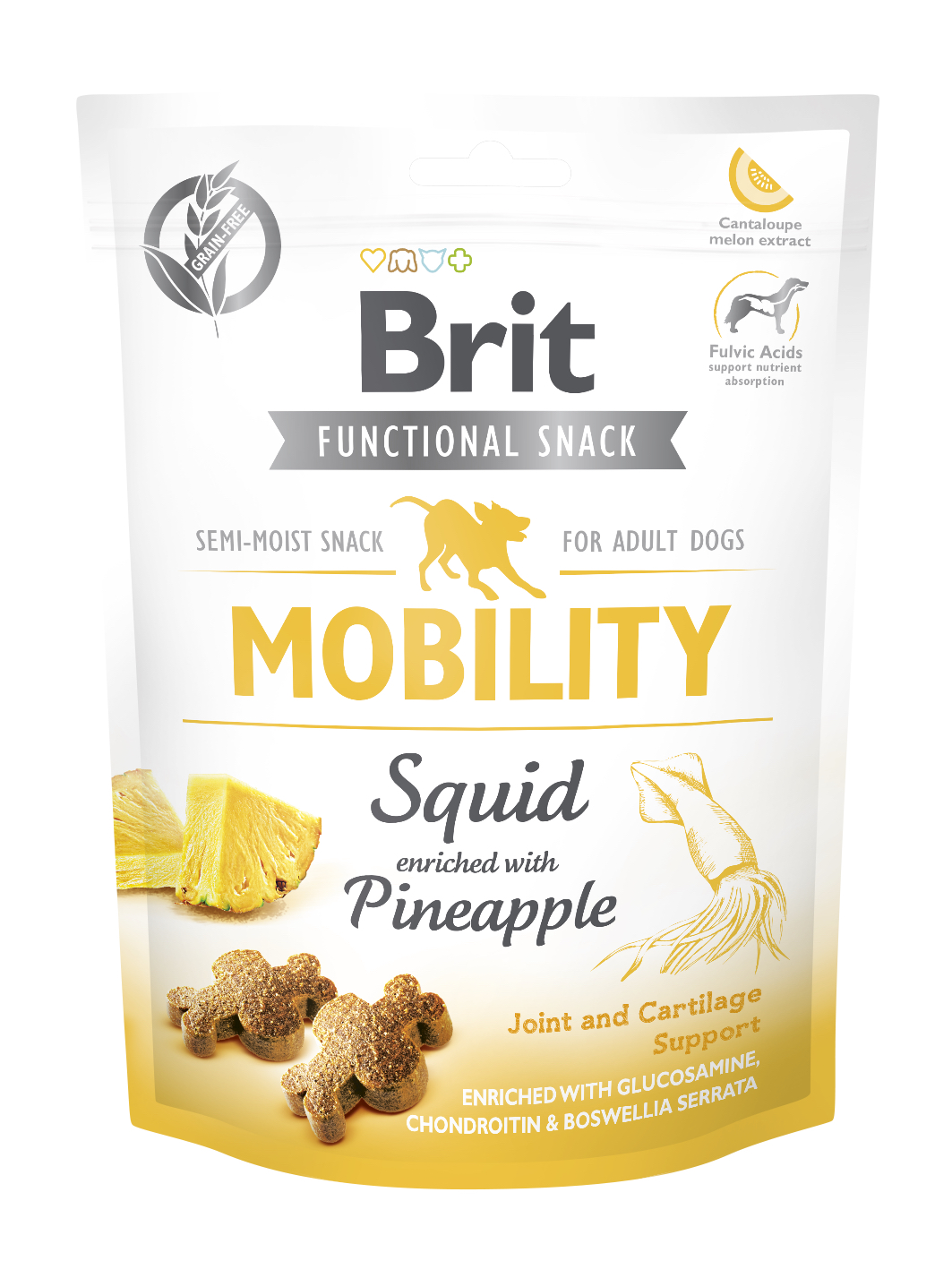 Brit Care Functional Mobility närimismaius koertele 150g