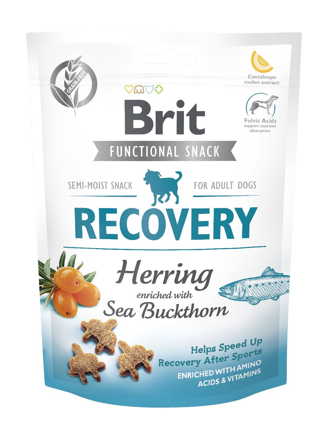 Brit Care Functional Recovery närimismaius koertele 150g