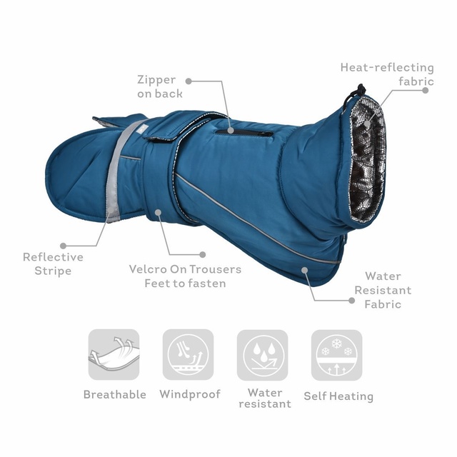 Ohana koera jope Windproof Eco XL, sinine