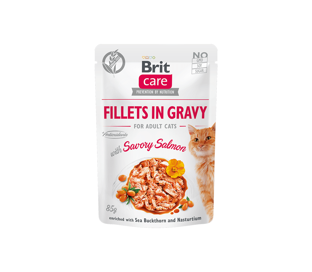 Brit Care Fillets in Gravy Savory Salmon märgtoit kassidele 85g