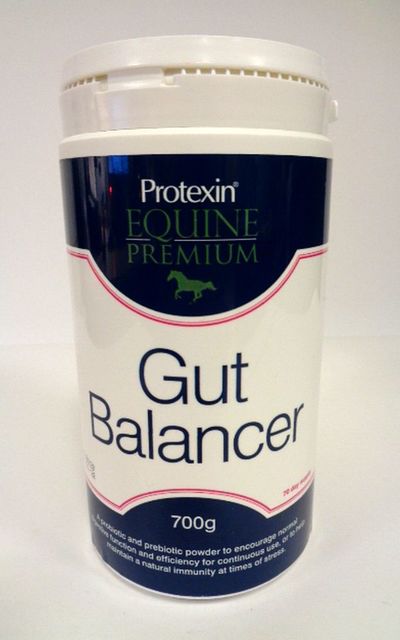 PROTEXIN GUT BALANCER 700G