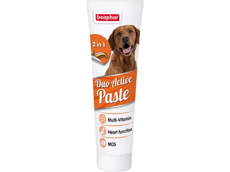 Beaphar Duo Active Paste Dog kahetoimeline söödalisand koertele 100g