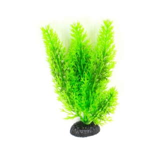 Plastist taim M007 20cm