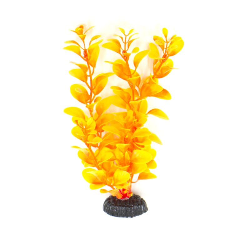 Plastist taim M034 20cm