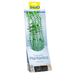 Plastist taim Tetra Anacharis, L