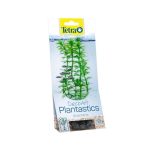 Plastist taim Tetra Anacharis,S