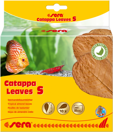 Sera листя Catappa S 10-15cm 10tk