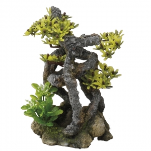 Akvaariumi dekoor Twistbonsai 11x11x17,5cm