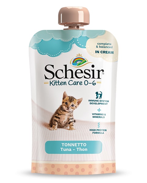 Schesir Kitten Care 0-6 тунец влажный корм для котят крем 150г