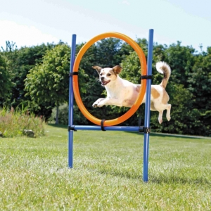 DogActivity Agility кольцо, пластик, 115x ø 3см, ø 65см синий/оранжевый