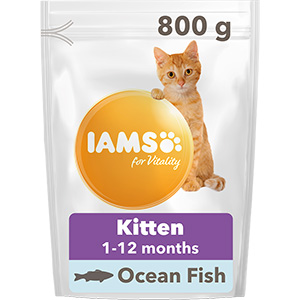 Полноценный сухой корм IAMS CAT Kitten с океанической рыбой 800г для котят