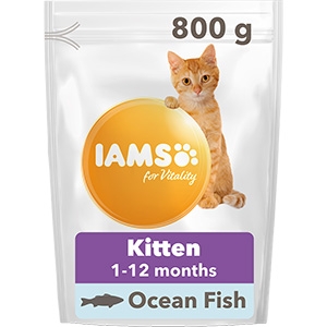 Kuiv täissööt IAMS CAT Kitten ookeanilise kalaga 800g kassipoegadele