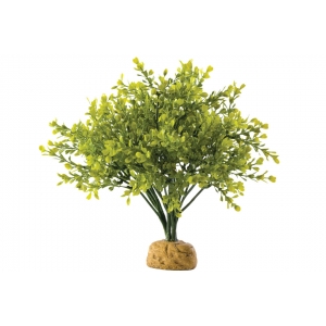 Terraariumi dekoor EXO-TERRA Boxwood Bush