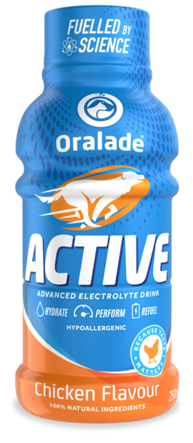 Oralade Active jook koertele kanaga 250 ml