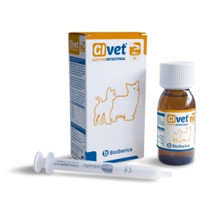 Bioiberica Givet suukaudne geel, 60 ml