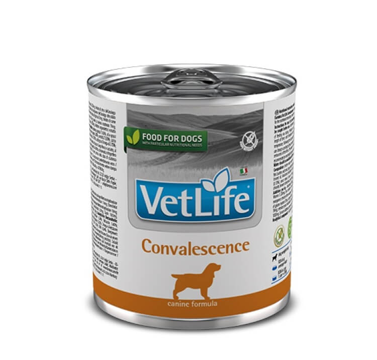 Farmina Vet Life Dog Convalescence 300g