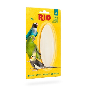 Rio seepia luu, suurus XL