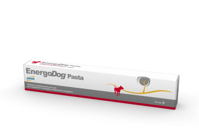 DRN EnergoDog Pasta 15ml (energiapasta koertele)