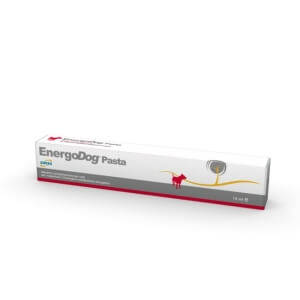 DRN EnergoDog Pasta 15ml (energiapasta koertele)